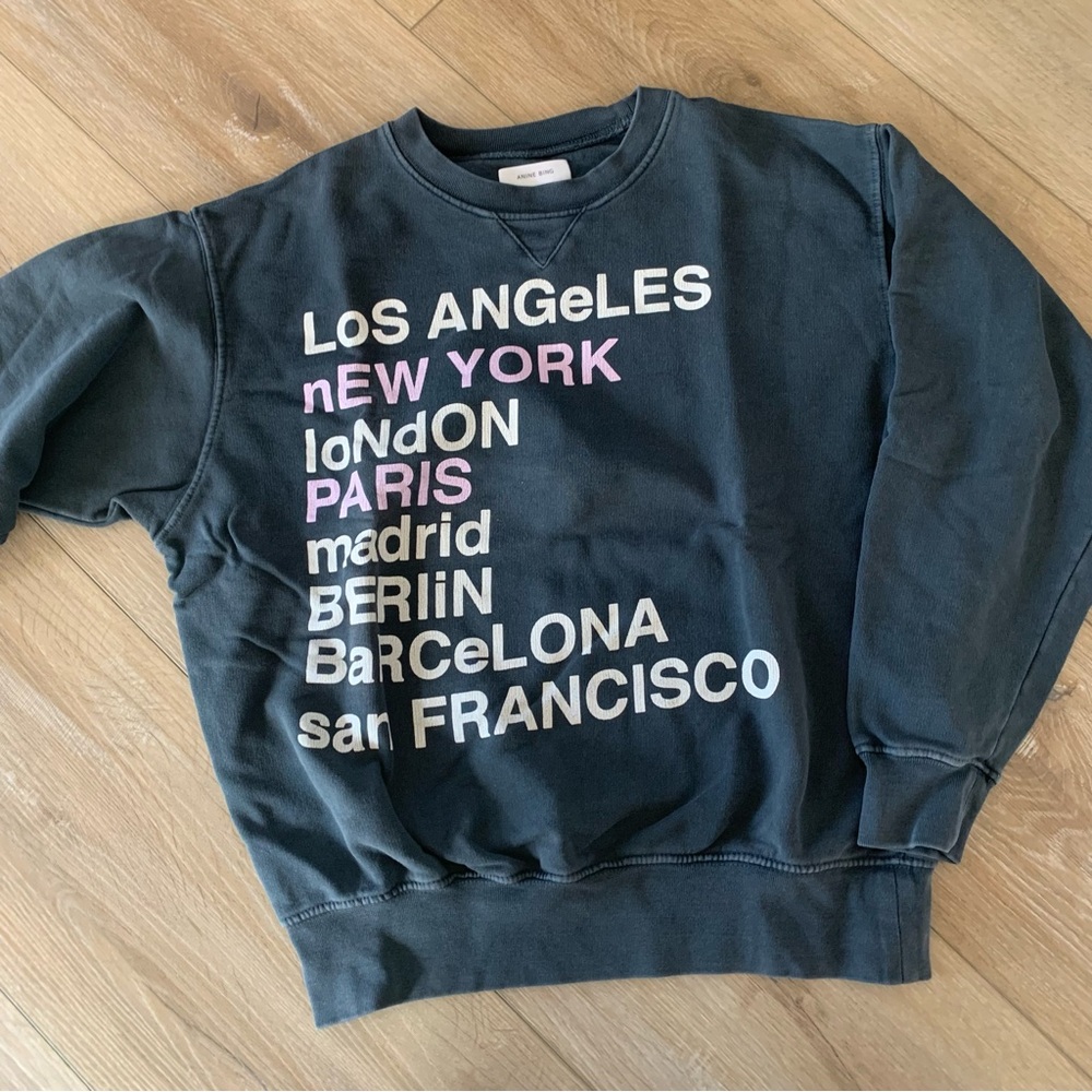 Anine Bing sweatshirt